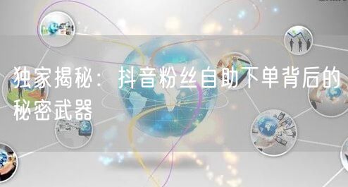 独家揭秘：抖音粉丝自助下单背后的秘密武器