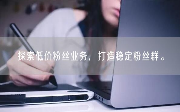 探索低价粉丝业务，打造稳定粉丝群。
