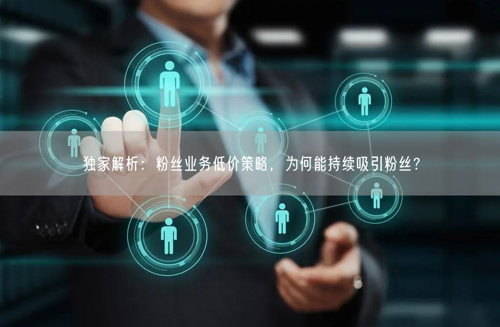独家解析：粉丝业务低价策略，为何能持续吸引粉丝？