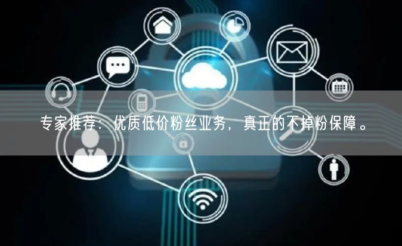 专家推荐：优质低价粉丝业务，真正的不掉粉保障。