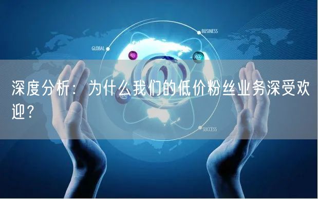 深度分析：为什么我们的低价粉丝业务深受欢迎？