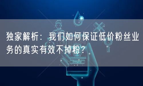 独家解析：我们如何保证低价粉丝业务的真实有效不掉粉？