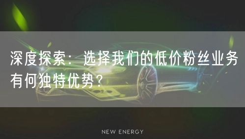 深度探索：选择我们的低价粉丝业务有何独特优势？