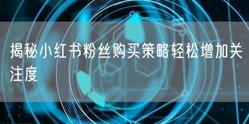 揭秘小红书粉丝购买策略轻松增加关注度