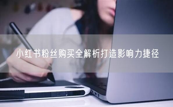 小红书粉丝购买全解析打造影响力捷径