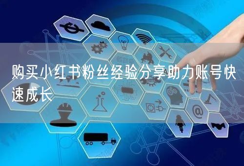 购买小红书粉丝经验分享助力账号快速成长