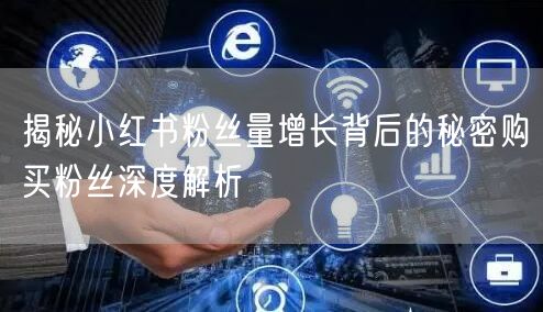 揭秘小红书粉丝量增长背后的秘密购买粉丝深度解析