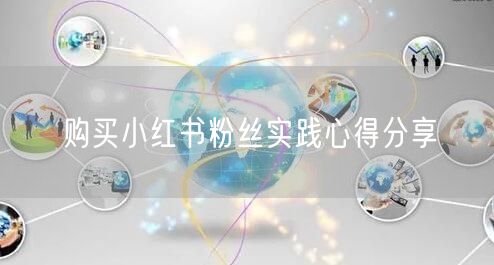 购买小红书粉丝实践心得分享