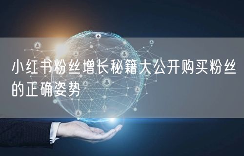 小红书粉丝增长秘籍大公开购买粉丝的正确姿势