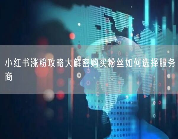 小红书涨粉攻略大解密购买粉丝如何选择服务商