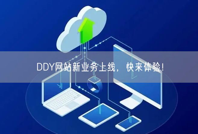DDY网站新业务上线，快来体验！