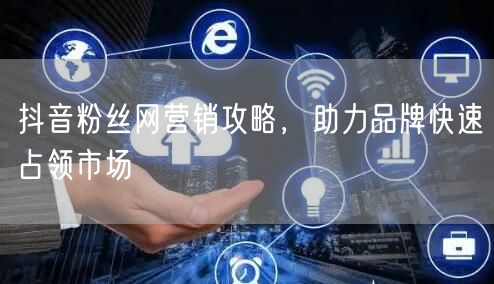 抖音粉丝网营销攻略，助力品牌快速占领市场