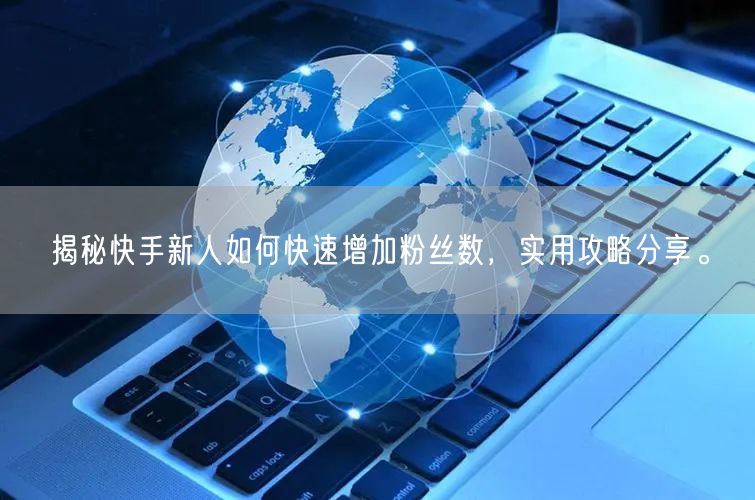 揭秘快手新人如何快速增加粉丝数，实用攻略分享。